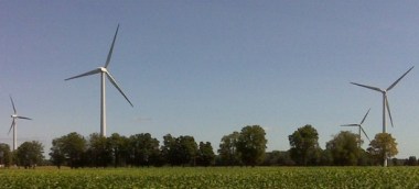 Photo by US Fish and Wildlife Service