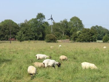 Wind turbine on farm. photo by Hywel Williams. From Wikimedia Commons