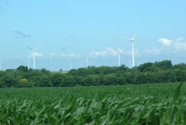 Indiana wind farm. Photo by Patrick Finnegan from Lafayette, IN, USA. Wikimedia Commons. 