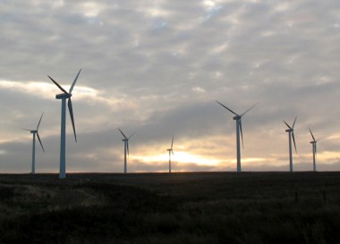 Windfarm at daybreak.