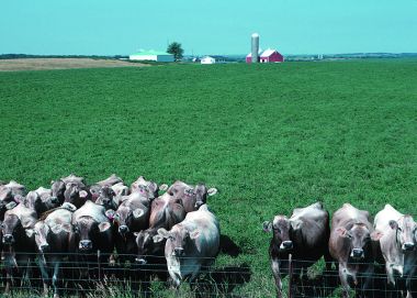 Photo by Lynn Betts, USDA Natural Resources Conservation Service.