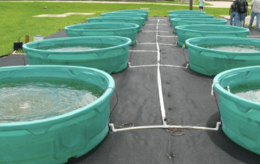 Wastewater tanks in experiment at Rice University.