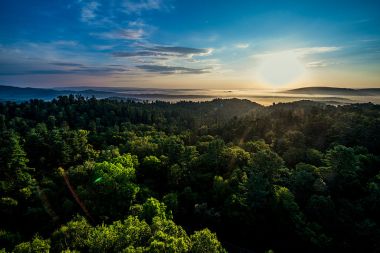 Forest in Lesser Khingan Mountains near Yichun, Heilongjiang, China. Photo by Lzy881114. Wikimedia Commons.