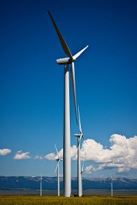 Wind turbines at the Judith Gap Wind Farm, just outside Judith Gap, Montana. Photo by Nomadic Lass. Wikimedia Commons. 