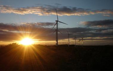 Wind farm using Gamesa turbines. Author: germanborrillo. License: Creative Commons, Attribution-ShareAlike 2.0 Generic
