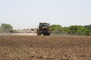 Image: eutrophication&hypoxia