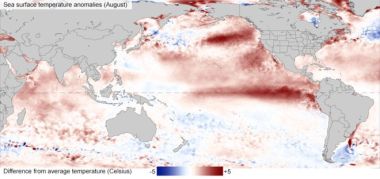The El Nino phenomenon sees surface waters warm dramatically in the eastern Pacific.