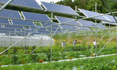 Solar panels have been installed in Minamisoma, Fukushima Prefecture. | Kyodo