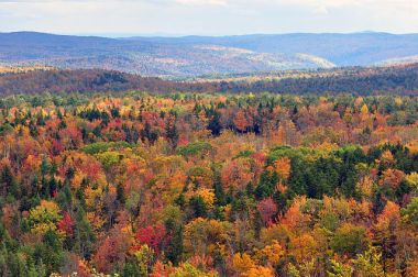 View from Vermont's Hogback Mountain. Photo by chensiyuan. CC BY SA 4.0. Wikimedia Commons.