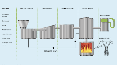 Image (screenshot): via Novozymes.