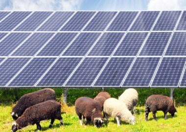 Solar farm approved. SUS-150325-142109001