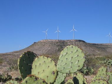 Part of the Desert Sky Wind Farm in Texas. Photo by Pismo. Placed in the public domain by the author. Wikimedia Commons. 
