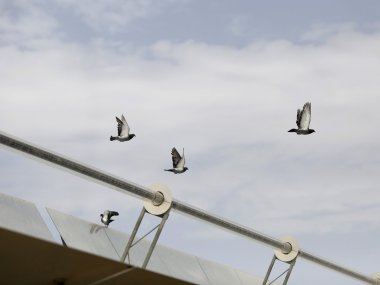 International Energy Agency photo