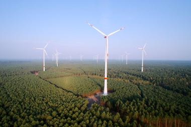 German renewables share hits 33%