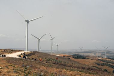 Wind farm in Tunisia. Photo by Citizen59. CC BY-SA 3.0. Wikimedia Commons.