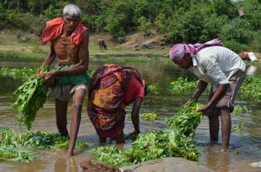 Villagers drink, bathe and wash themselves in the waters found to have alpha radiation 192% higher than safe limits set by the WHO. Ashish Birulee