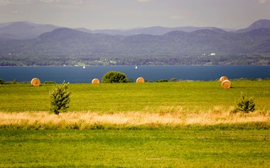 St Albans Bay. GMP photo.