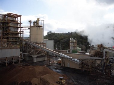 The 18 MW Buena Vista Biomass Power facility in Ione, CA turns forest debris into energy. Andrew Nixon / Capital Public Radio