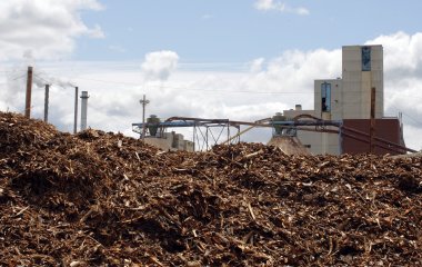 Biomass, the unused portions of logged trees such a branches and the tree tops, sit at the Old Town Fuel and Fiber mill in Maine.