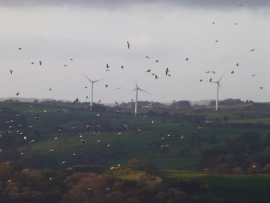 Image credit via Flickr under creative commons license 