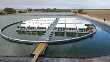 Floating solar plant by Infratech Industries