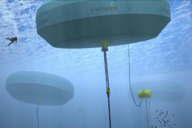 Image Credit: Carnegie Wave Technology