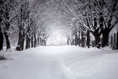 Will we ever see a White Christmas again?