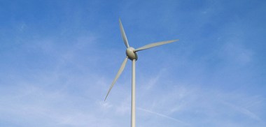 For the Protection of Birds