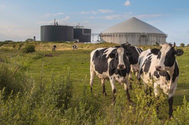 A biogas installation in a farm that uses cow dung as energy source. Image: Shutterstock