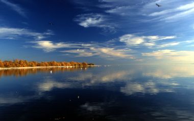 Salton Sea. Released into the public domain (by the author). Wikimedia Commons.