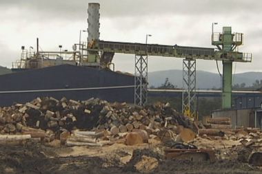The Southwood sawmill in the Huon Valley was designed more than a decade ago to include a biomass plant. ABC