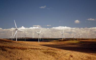 Whitelee wind farm in Scotland. Author: ms.akr. License: Creative Commons, Attribution 2.0 Generic
