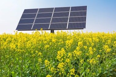 Solar 21 says that the plant will benefit from UK government-backed revenue.