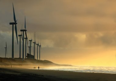 Wind farm. Image credit: Shuttershock