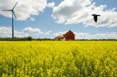 Ontario wind turbine. Image via Shutterstock