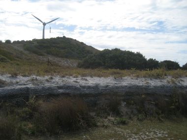 Mount Hersche, Rottnest Island. Photo by Djanga. CC BY-2.5. Wikimedia Commons. 