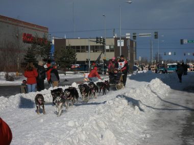 Iditarod start in Anchorage, 2008. Photo by David Weekly from Cupertino, CA. CC BY-SA 2.0. Wikimedia Commons.