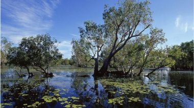 Kakadu National Park in the Northern Territory was also mentioned in the draft report. Getty Images.