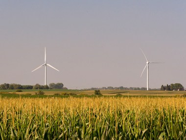 Wind turbines near the small farming town of Nevada, Iowa. (Image by Carl Wycoff)