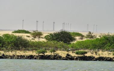 Wind farm in Brazil. Author: Otávio Nogueira. License: Creative Commons, Attribution 2.0 Generic.