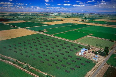Aerial view of a CPV solar farm in Canyon County, Idaho. Photo by Morgan Solar. CC BY-SA 2.0 generic. Wikimedia Commons.