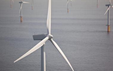 Offshore wind turbines. Image: Teun van den Dries / Shutterstock.com