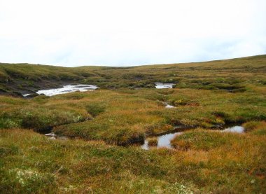 A boggy plateau west of Carn a' Bhacain. Photo by Richard Webb. CC BY-SA 2.0. Wikimedia Commons.