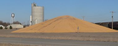 Corn piled near Plymouth, Nebraska. Photo by Ammodramus. CC BY-SA 1.0. Wikimedia Commons.