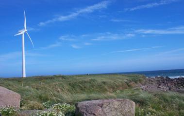 Wind turbine near the coast of Ireland. Author: Harry Pears. License: Creative Commons, Attribution-ShareAlike 2.0 Generic.