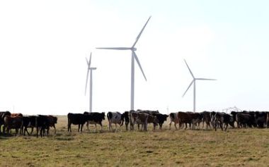 Wind turbines in Africa. Picture: Sunday Times.
