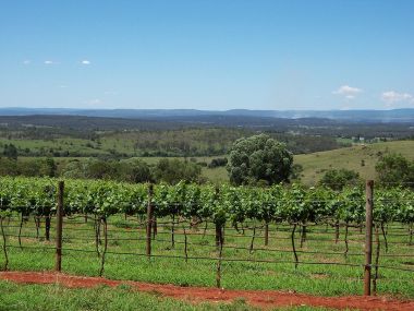 Landscape at Kingaroy, Queensland. Photo by Rossrs, who released it in to the public domain. Wikimedia Commons.
