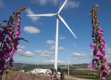 Harestanes wind farm in Scotland (Iberdrola image).