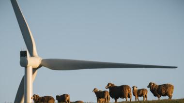 A turbine at the Hornsdale project, near Jamestown.