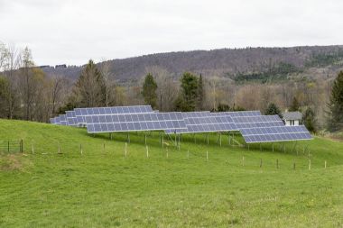 Greenstar solar panels in West Danby. Photo: Diane Duthie
